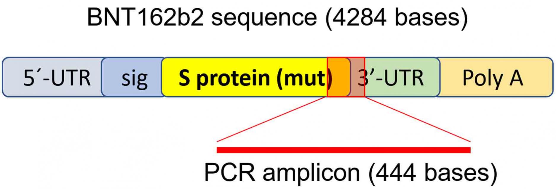 Figure 1 Fig 1